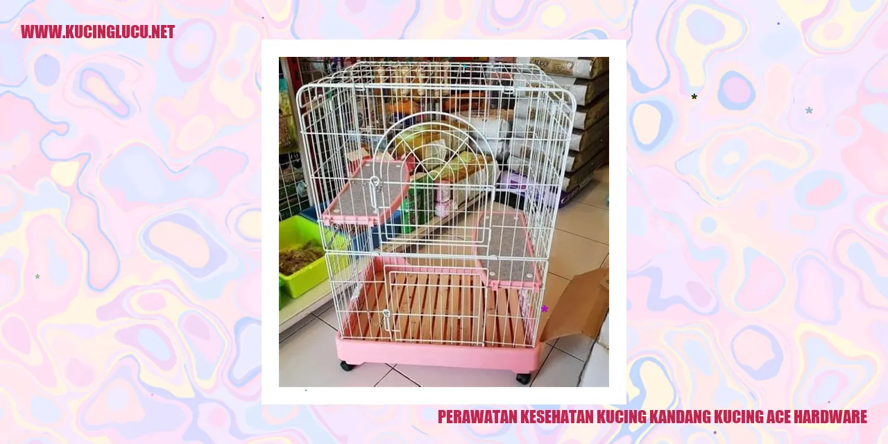 Perawatan Kesehatan Kucing