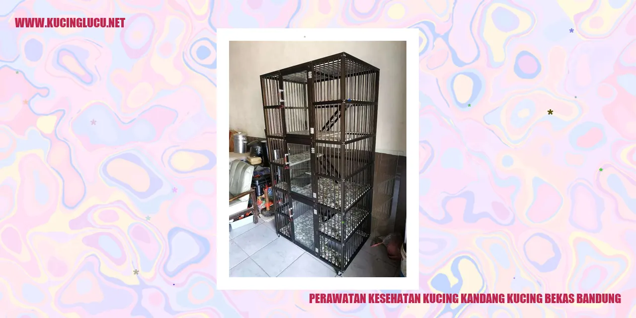 Perawatan Kesehatan Kucing Kandang Kucing Bekas Bandung