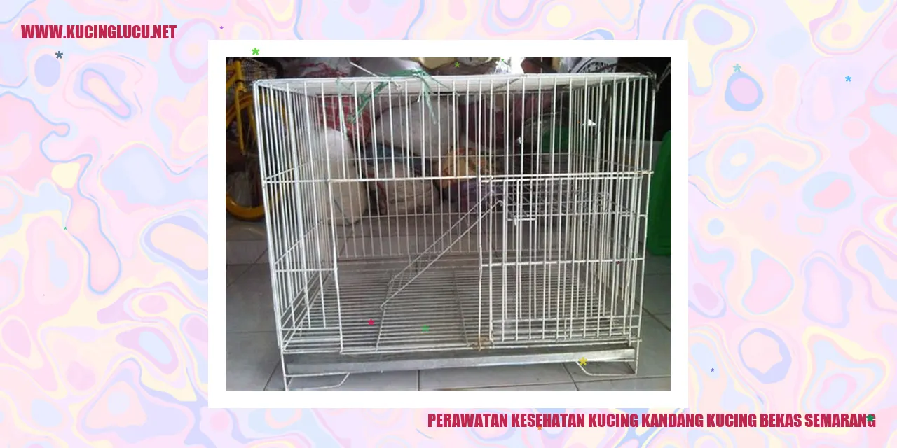 Kucing Sehat