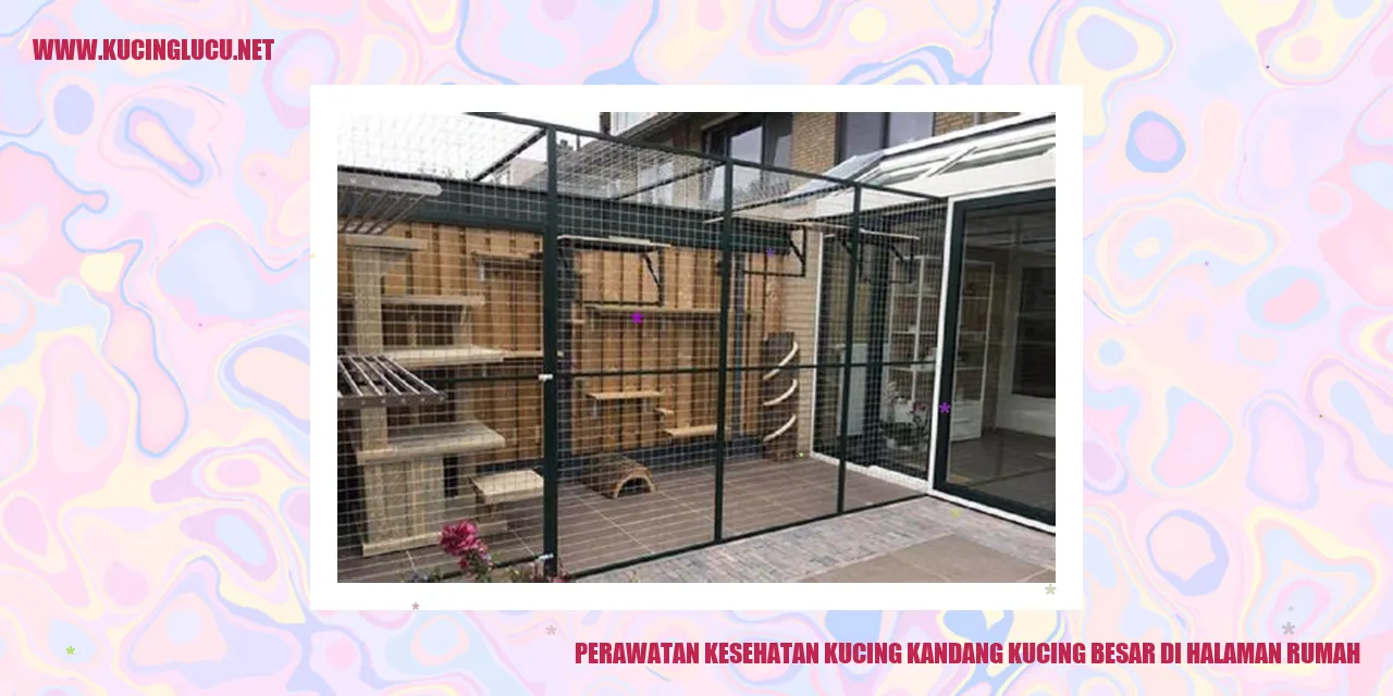 Perawatan Kesehatan Kucing di Kandang Besar di Halaman Rumah