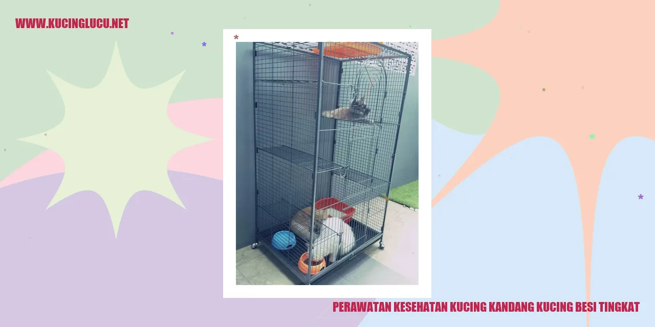Perawatan Kesehatan Kucing