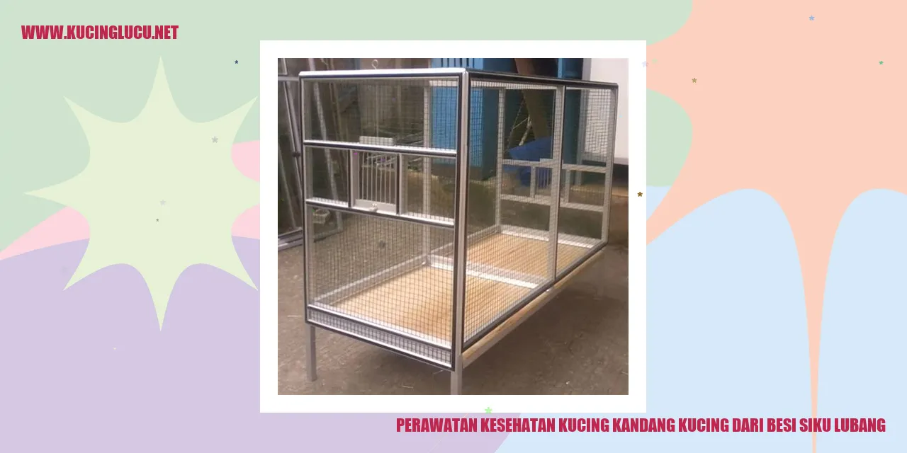Perawatan Kesehatan Kucing