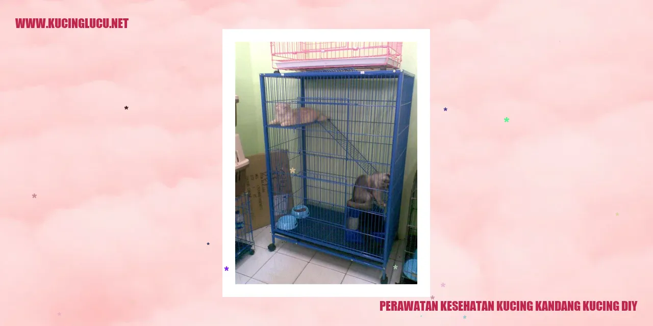 Perawatan Kesehatan Kucing kandang kucing diy