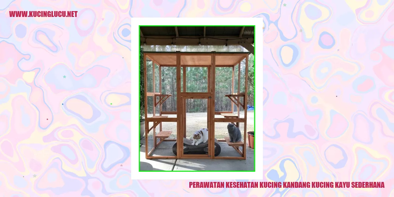 Perawatan Kesehatan Kucing