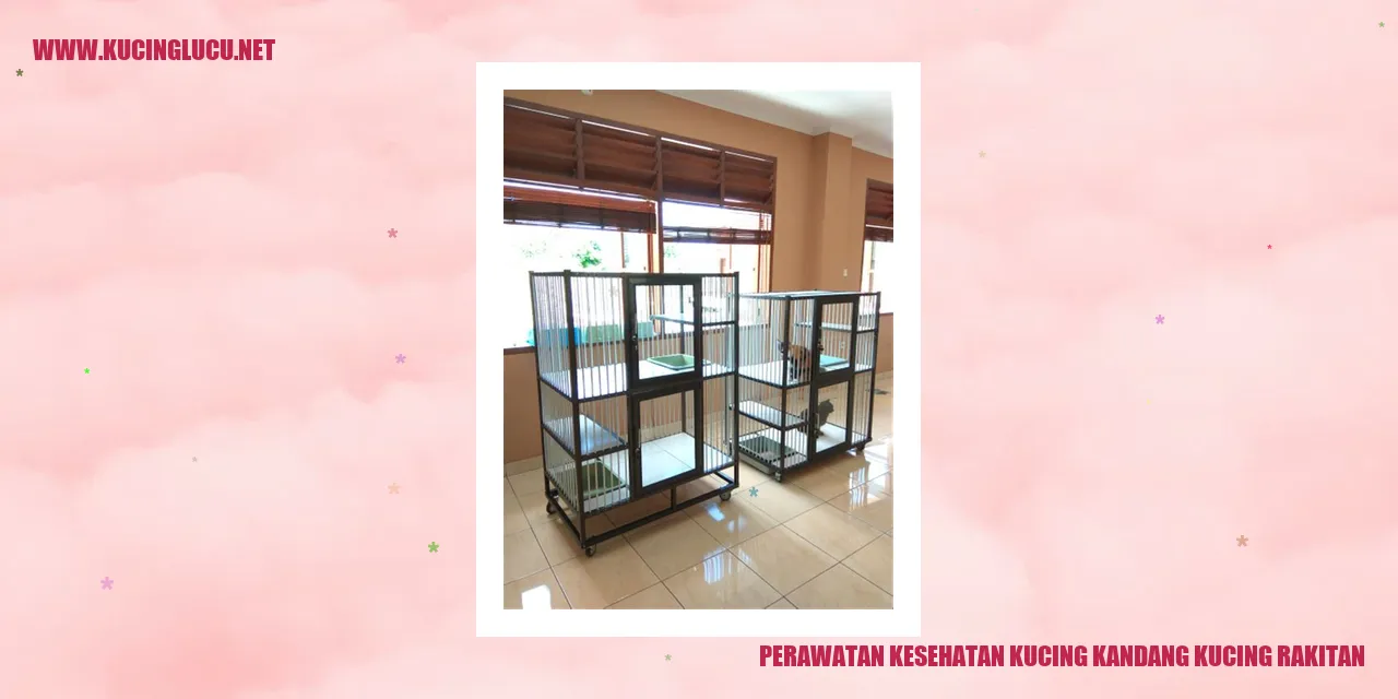 Perawatan Kesehatan Kucing Kandang