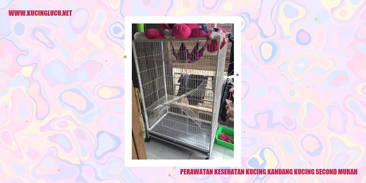 Gambar kucing kandang second murah