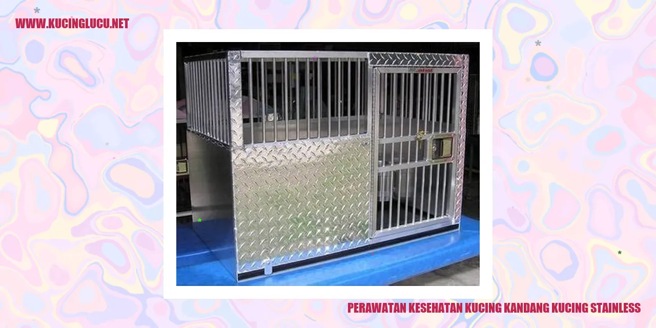 Perawatan Kesehatan Kucing