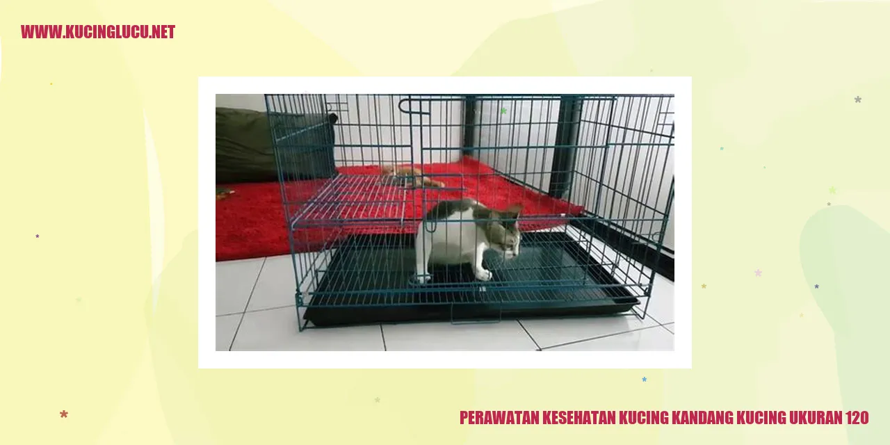 Perawatan Kesehatan Kucing