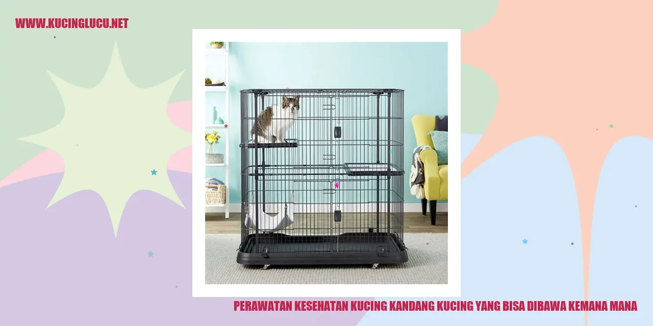 Perawatan Kesehatan Kucing