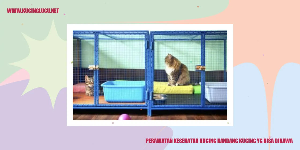 Perawatan Kesehatan Kucing