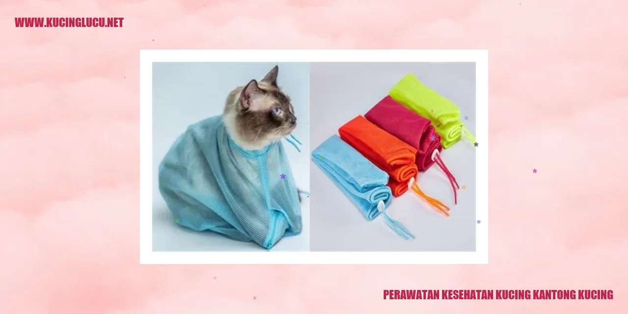 Perawatan Kesehatan Kucing Kantong Kucing