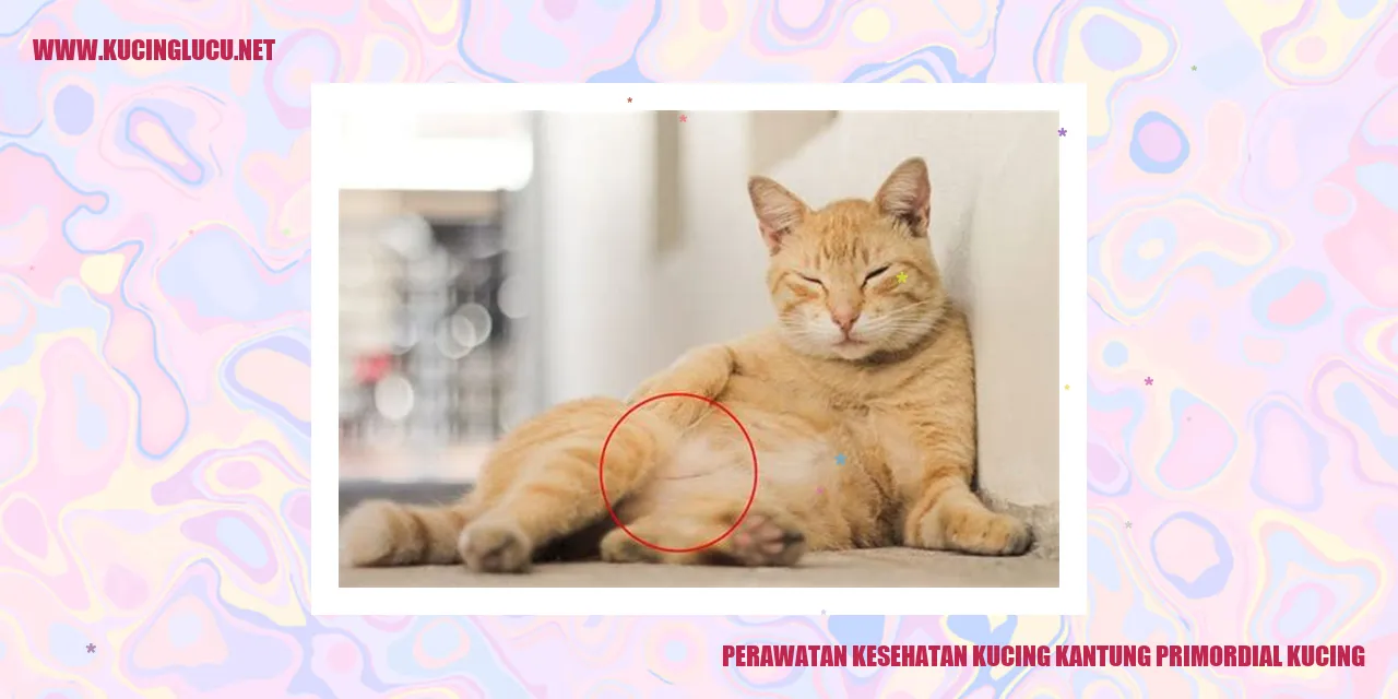 Perawatan Kesehatan Kucing Kantung Primordial Kucing