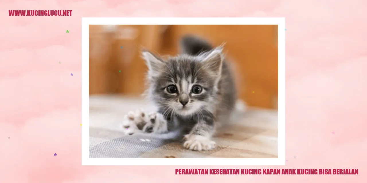 Perawatan Kesehatan Kucing