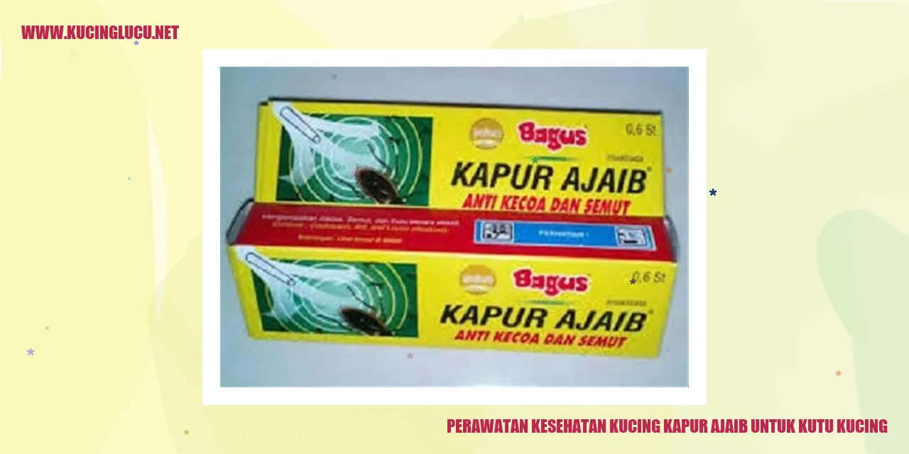Kucing sedang dirawat dengan kapur ajaib