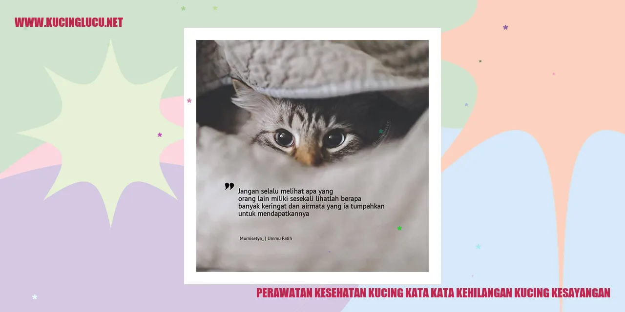 Kucing Sedih