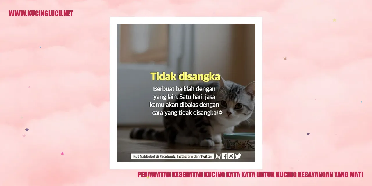 Perawatan Kesehatan Kucing kata kata untuk kucing kesayangan yang mati
