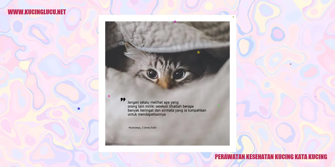 Perawatan Kesehatan Kucing