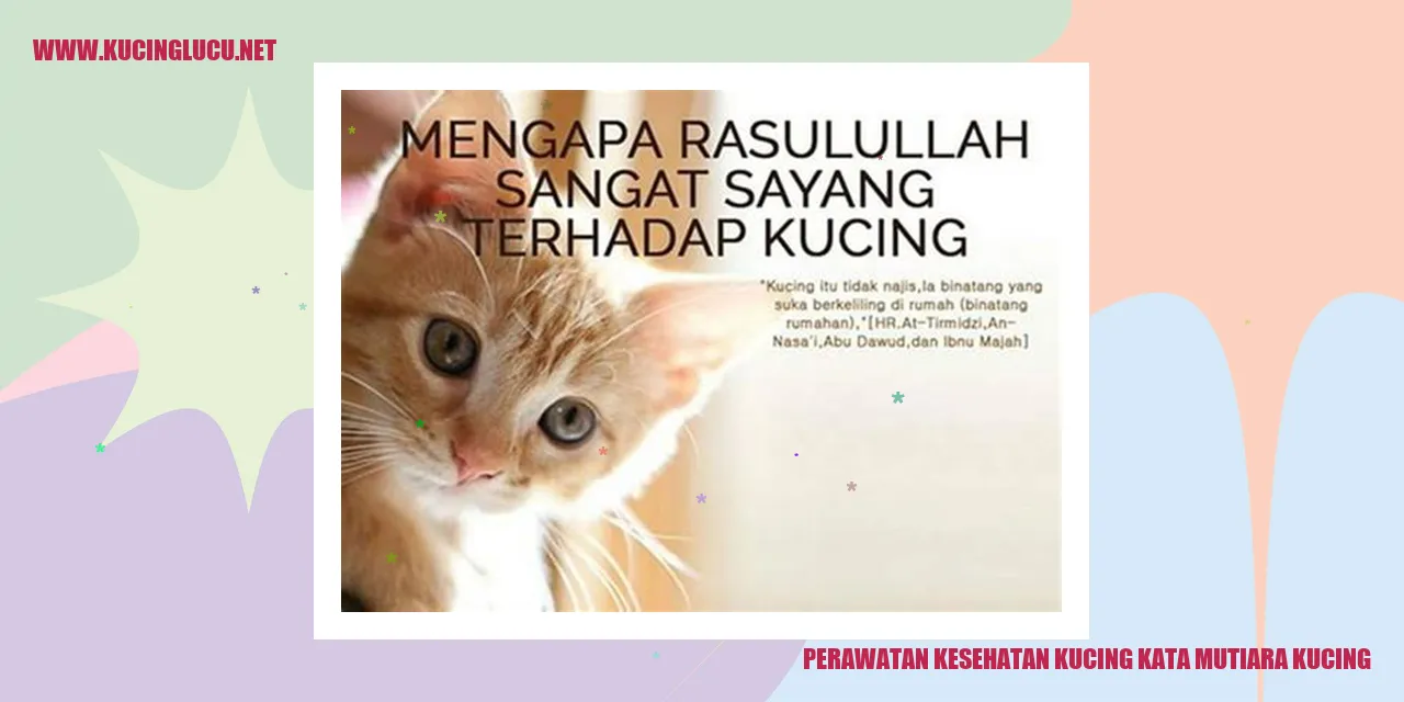 Perawatan Kesehatan Kucing