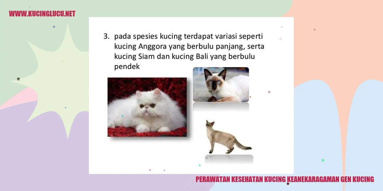 Gambar kucing sehat
