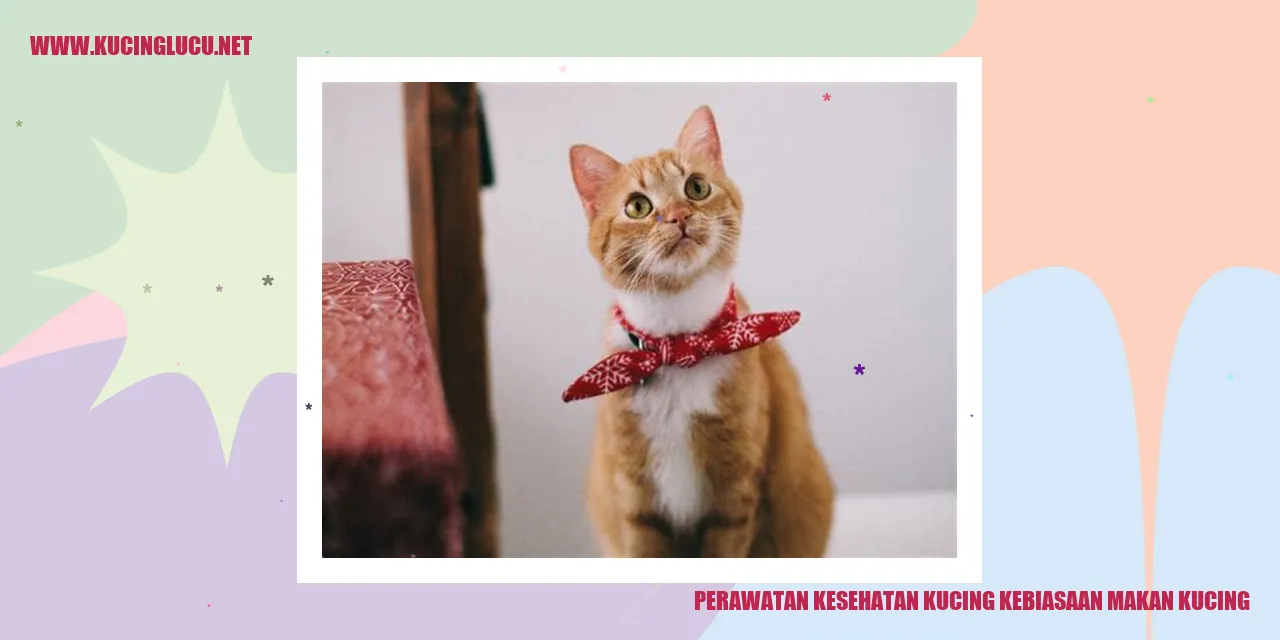 Perawatan Kesehatan Kucing Kebiasaan Makan Kucing