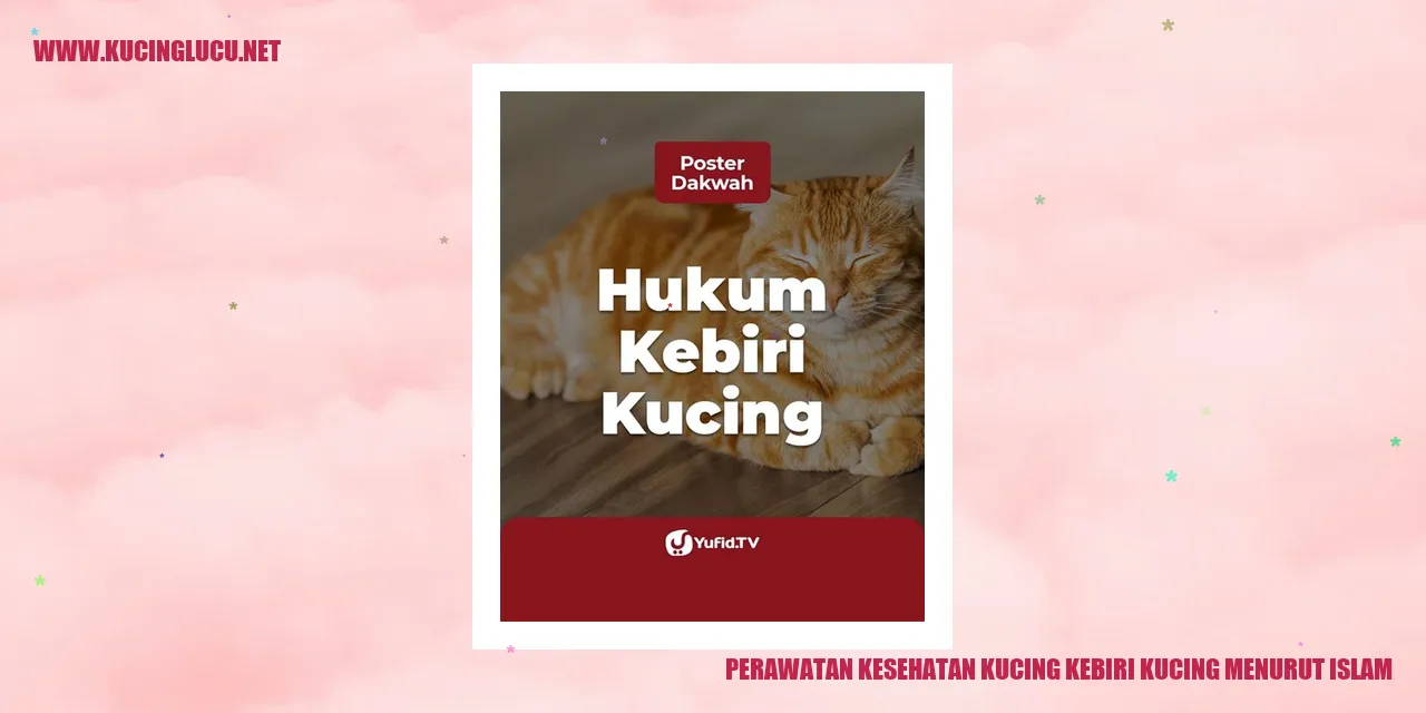 Perawatan Kesehatan Kucing menurut Islam