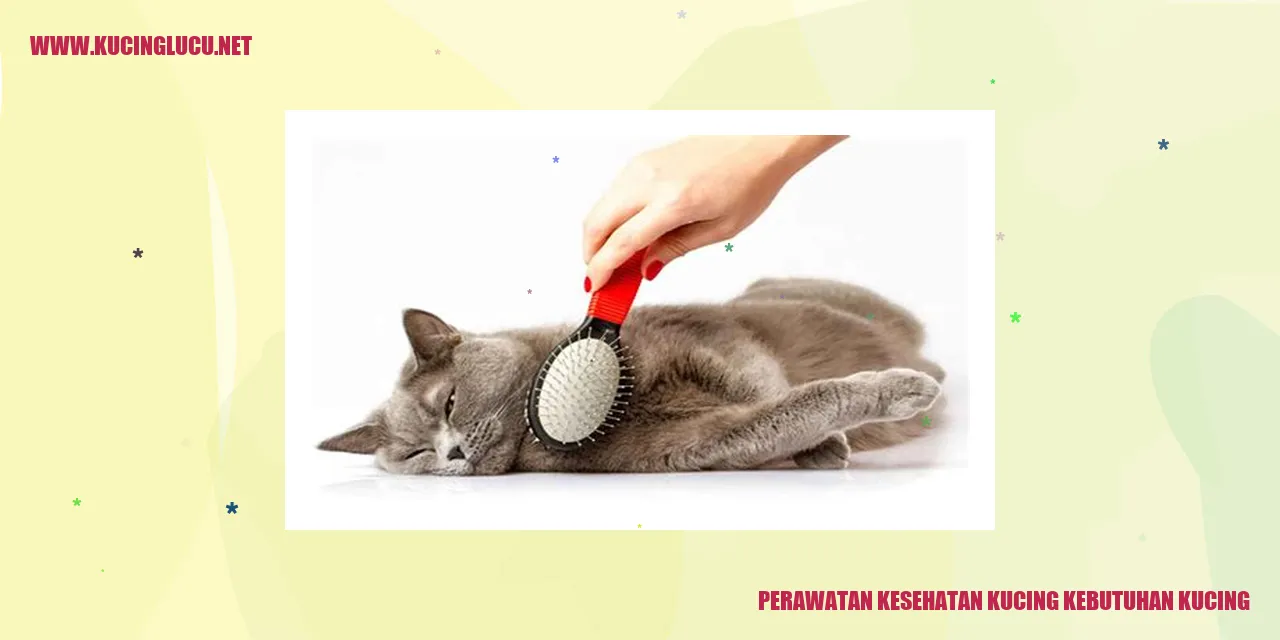 Perawatan Kesehatan Kucing