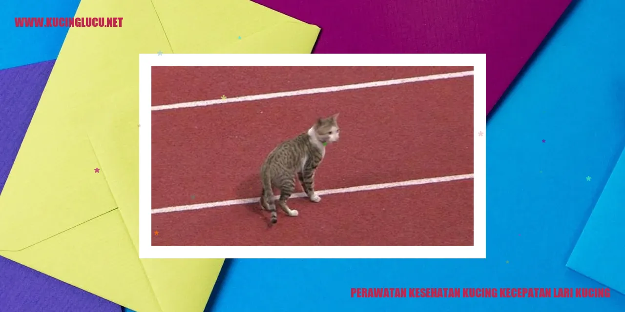Perawatan Kesehatan Kucing kecepatan lari kucing