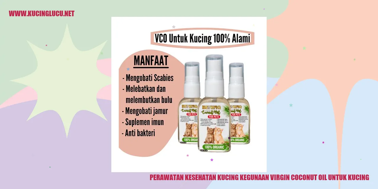 Gambar Kucing