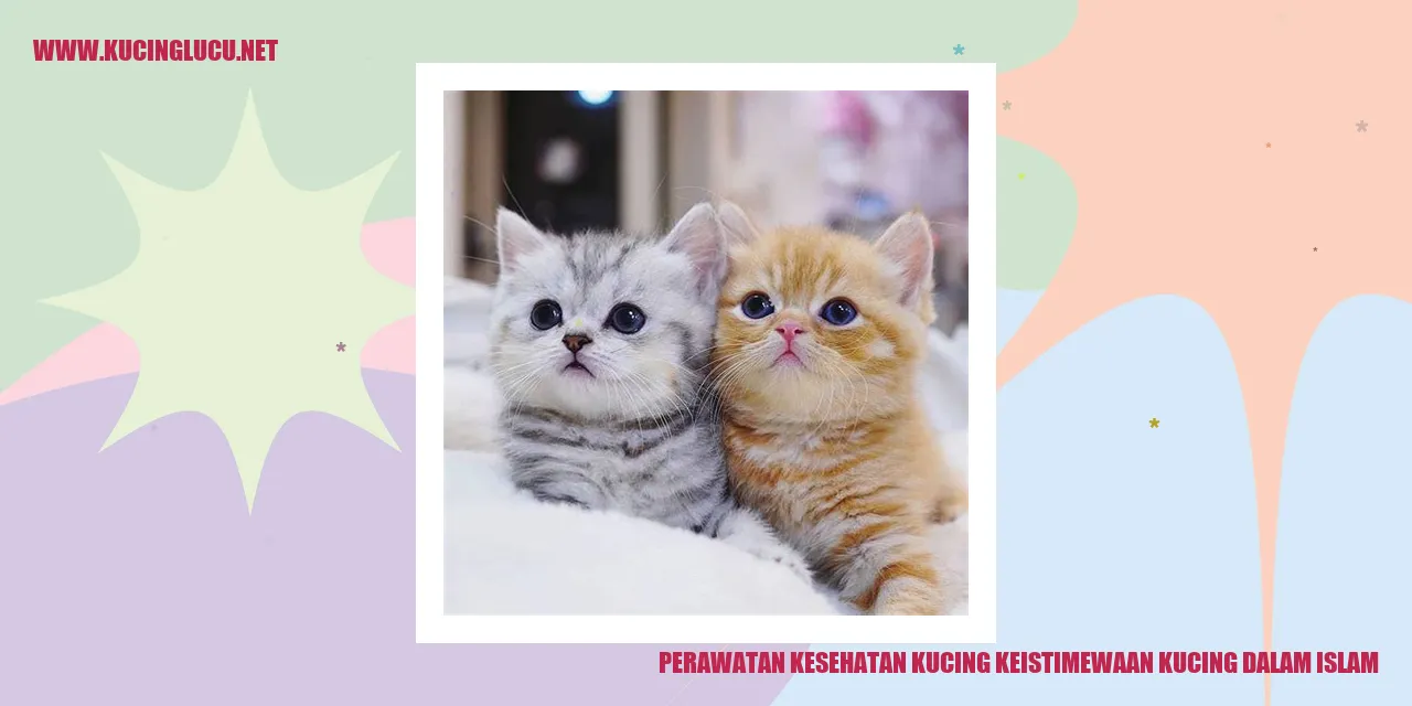 Perawatan Kesehatan Kucing