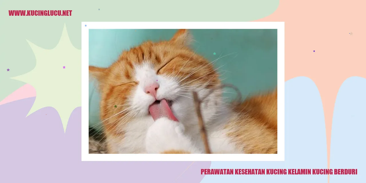 Perawatan Kesehatan Kucing kelamin kucing berduri