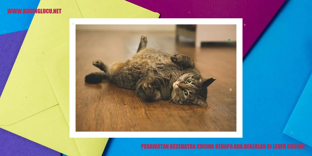 Benjolan di Leher Kucing
