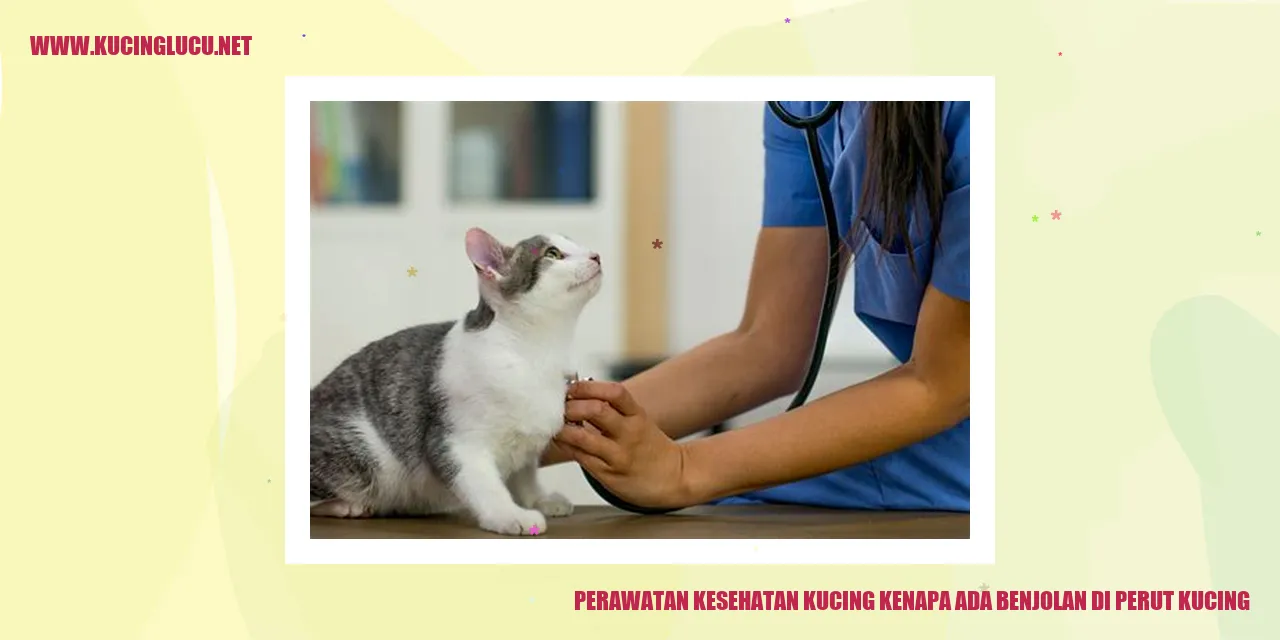 kucing dengan benjolan di perut