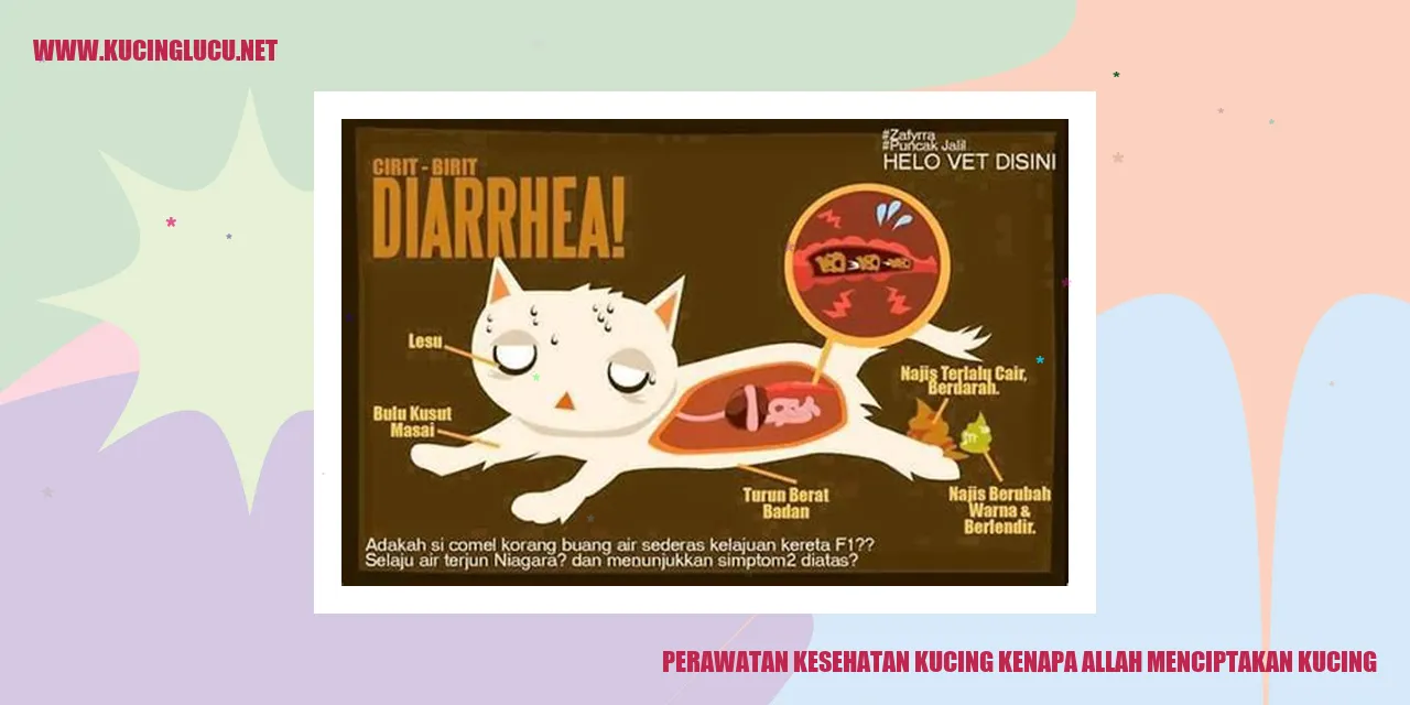 Perawatan Kesehatan Kucing