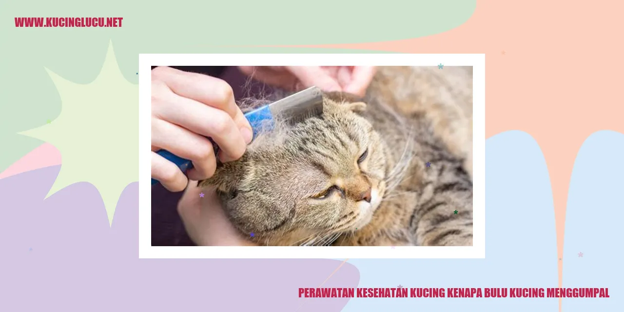 Gambar Kucing Menggumpal