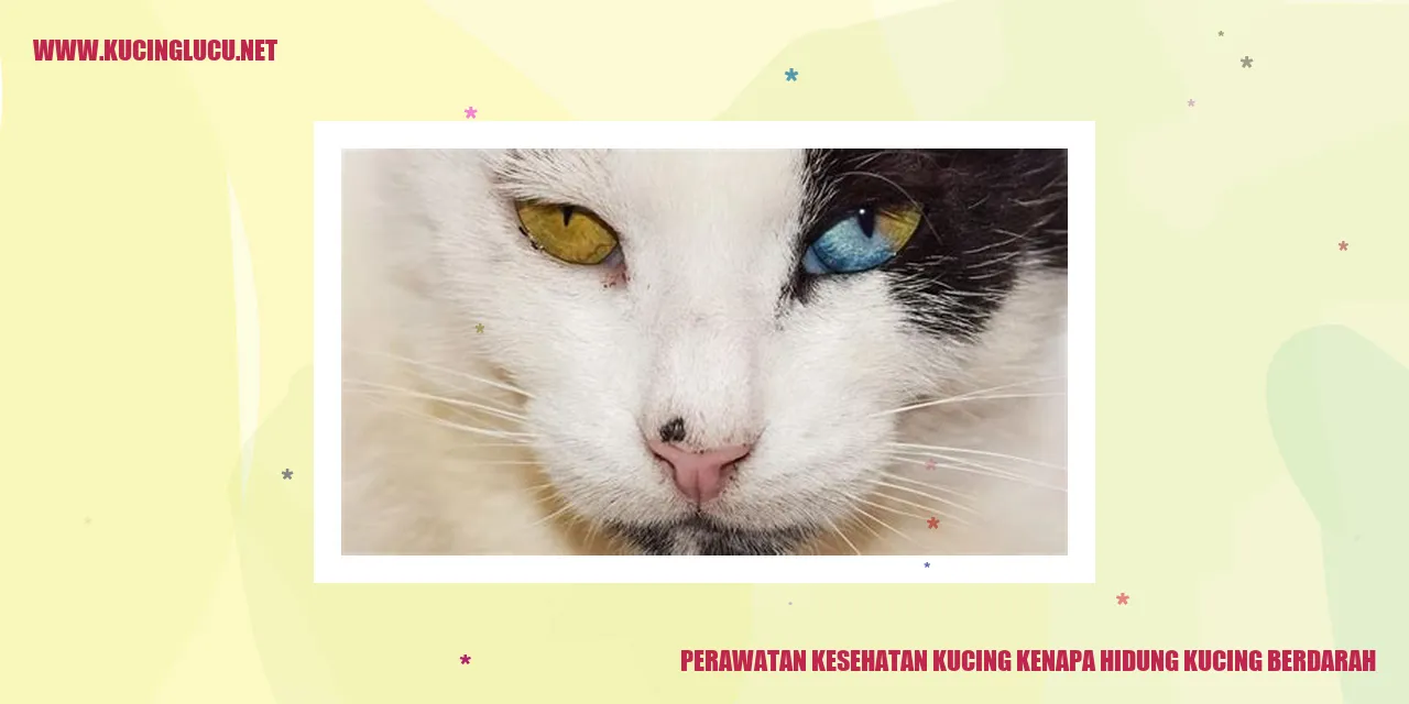 Kucing Berdarah