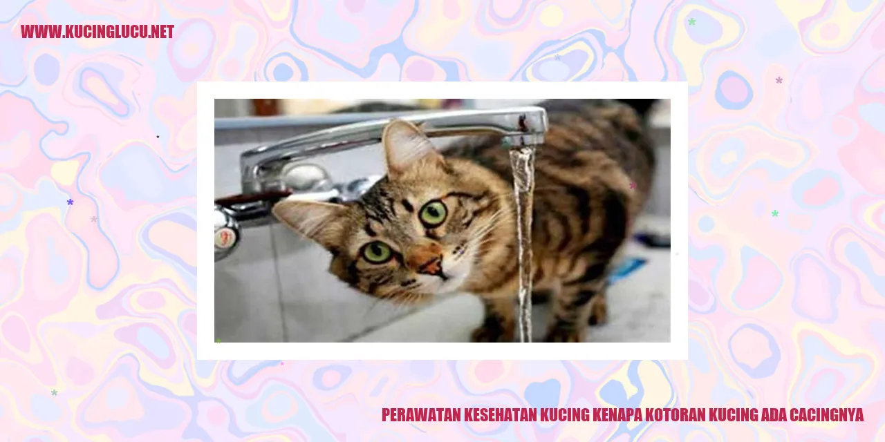 Perawatan Kesehatan Kucing kenapa kotoran kucing ada cacingnya