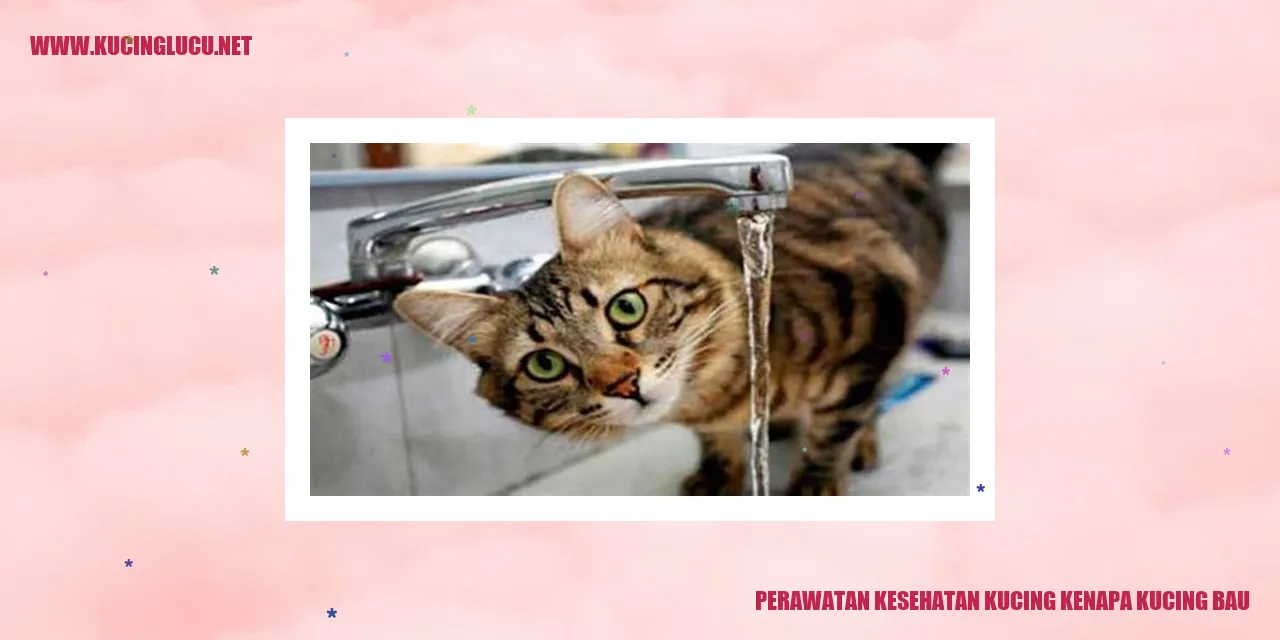 Perawatan Kesehatan Kucing