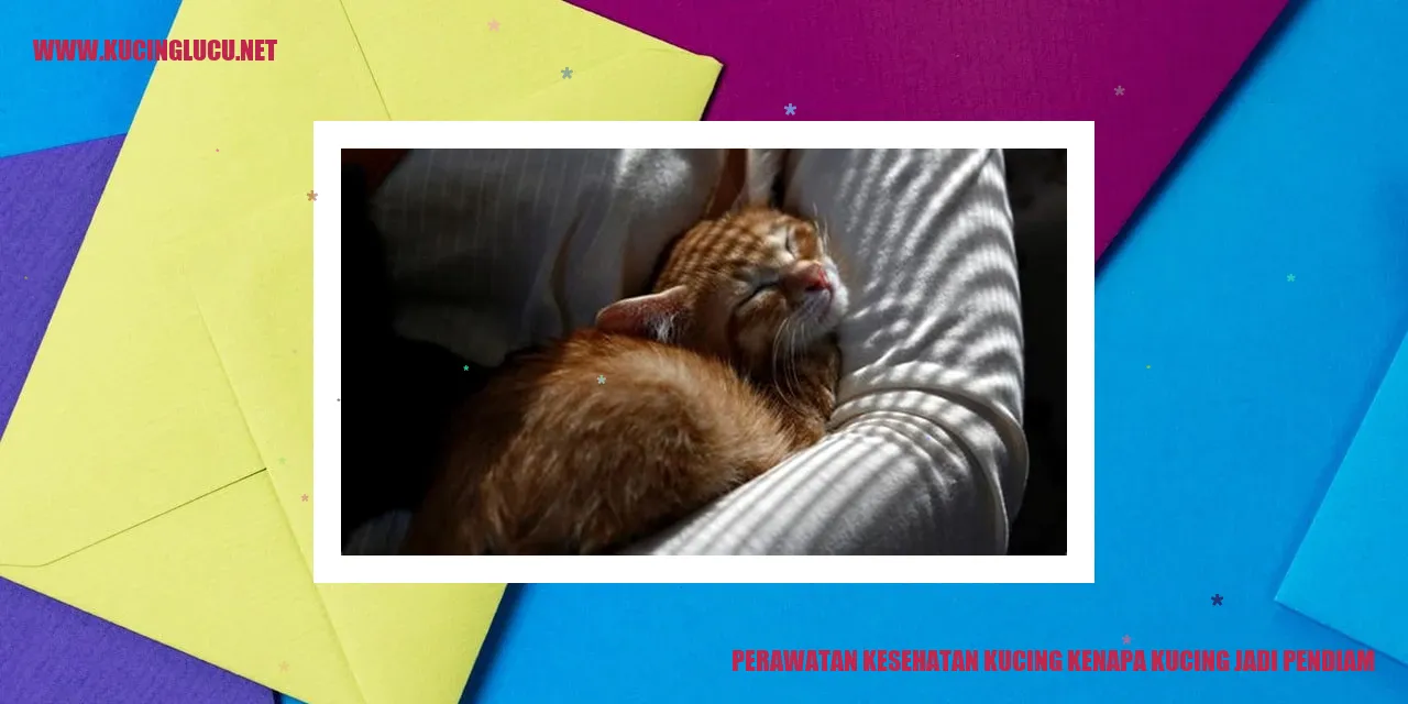 kucing pendiam