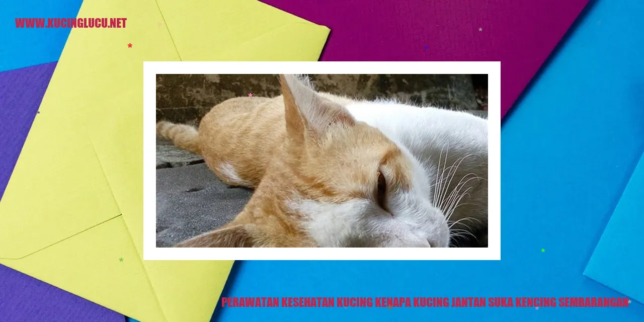 Perawatan Kesehatan Kucing