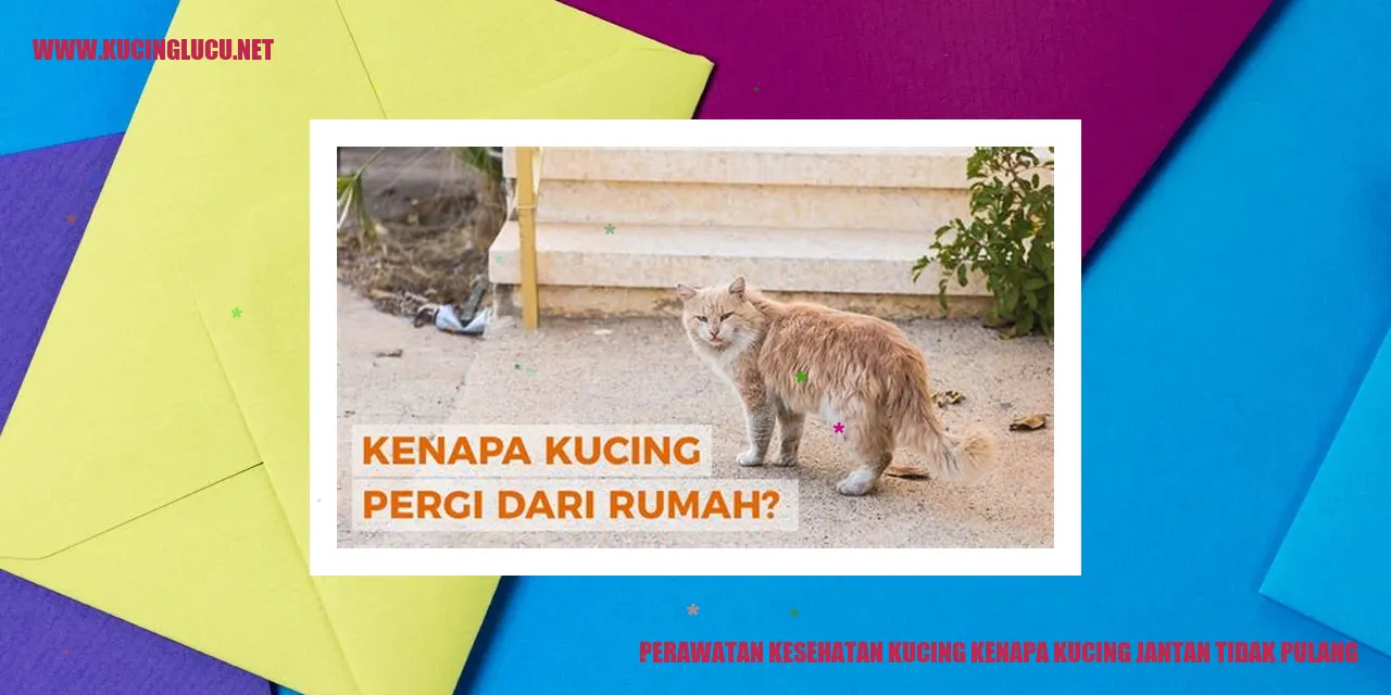 Perawatan Kesehatan Kucing