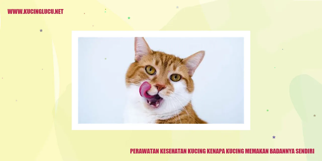 Kucing Memakan Badannya Sendiri