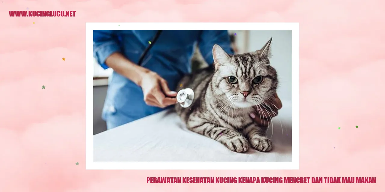 Perawatan Kesehatan Kucing