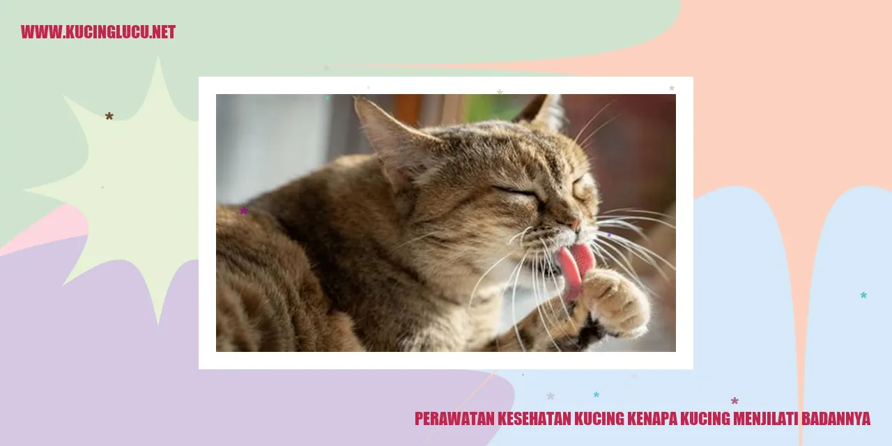 Perawatan Kesehatan Kucing: Mengapa Kucing Menjilati Badannya?