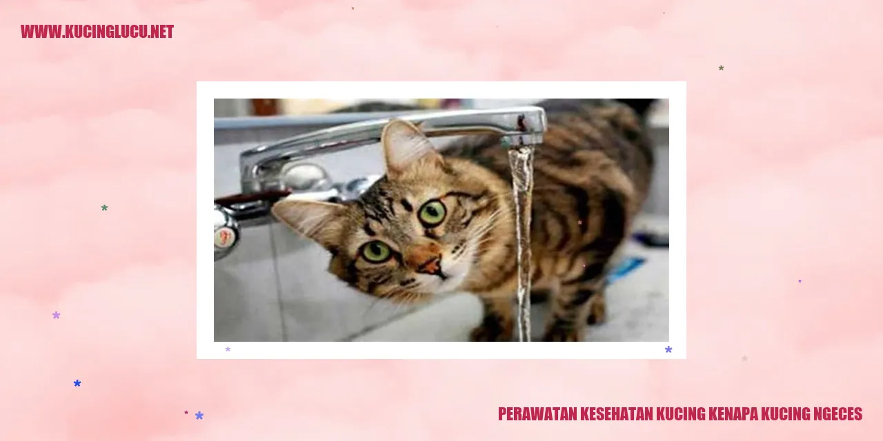 Perawatan Kesehatan Kucing kenapa kucing ngeces
