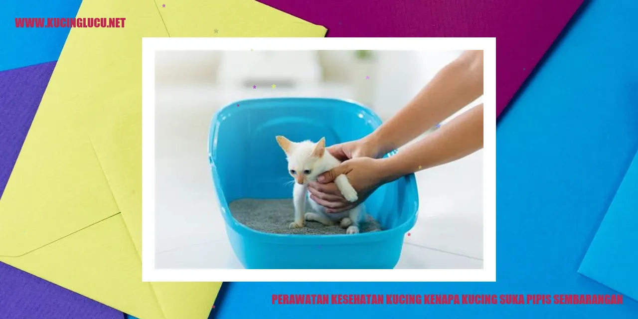 kucing pipis sembarangan