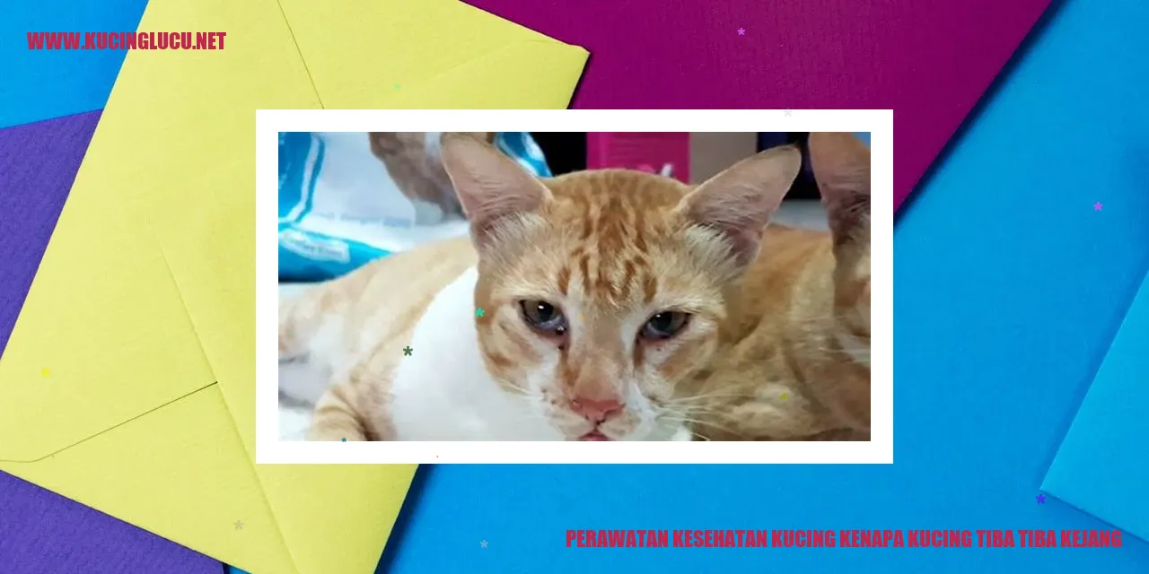 Gambar Kucing Kejang