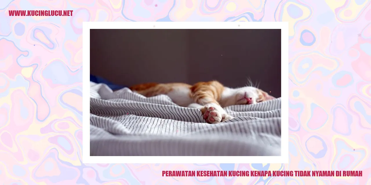 Perawatan Kesehatan Kucing
