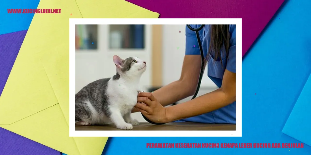 gambar kucing dengan benjolan di lehernya