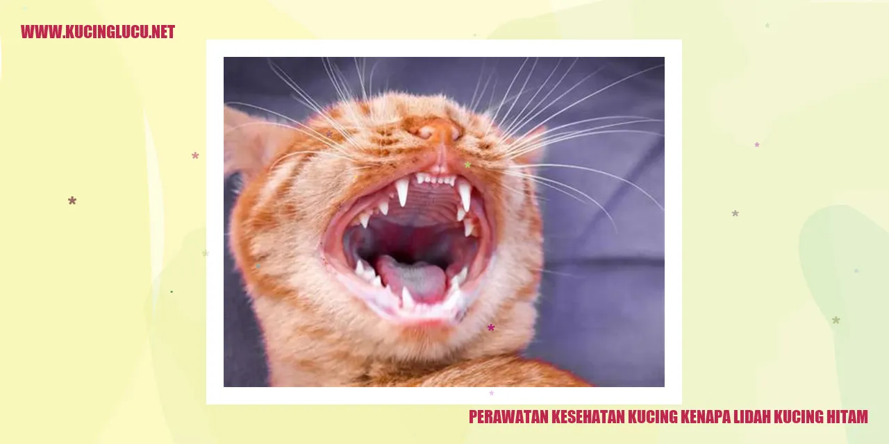Gambar Kucing yang Menggemaskan