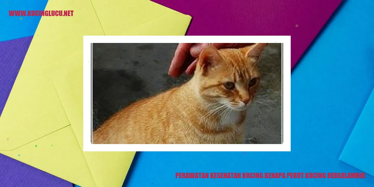 Perut Kucing Bergelambir